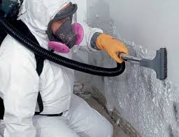 Best Biohazard Mold Removal in USA